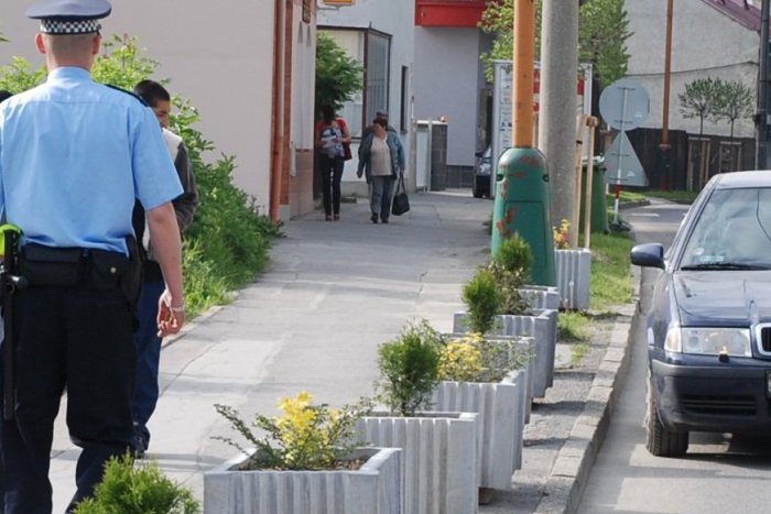 Ilustračný obrázok k článku Mestskí policajti v Prešove s kurióznym zistením: Množia sa krádeže kvetín a drevín z kvetináčov!