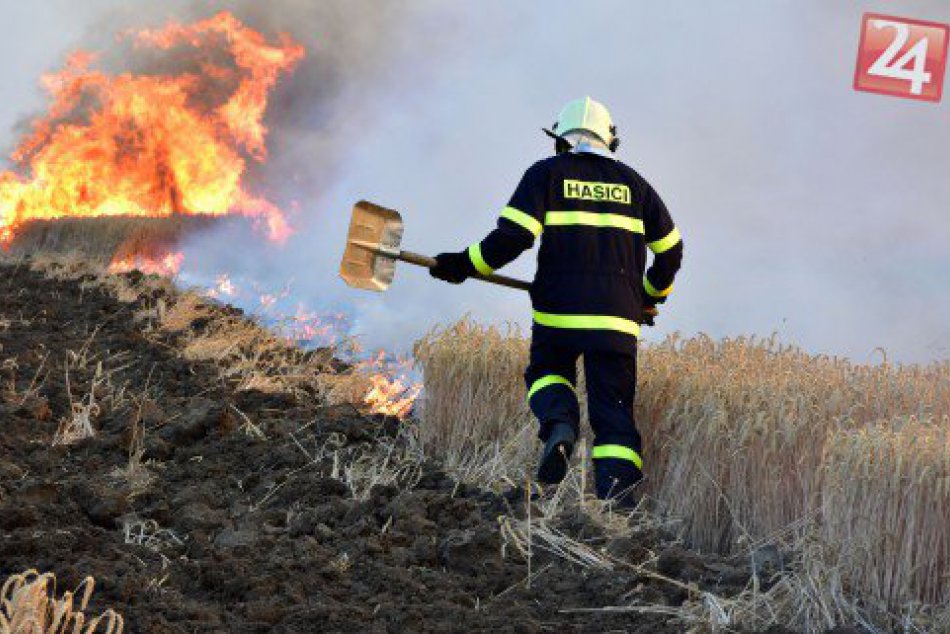 Ilustračný obrázok k článku Takmer dve desiatky hasičov v akcii: Horelo pole, zabránili škodám na rodinných domoch