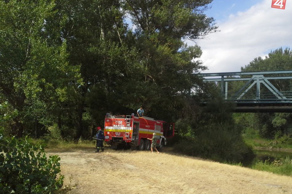 Ilustračný obrázok k článku AUTENTICKÉ ZÁBERY: Zásah hasičov pri požiari blízko železničného mosta v Hlohovci