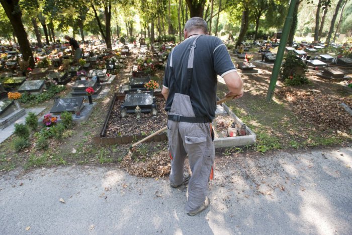 Ilustračný obrázok k článku Ľudia bez domova budú skrášľovať verejné priestory Bratislavy