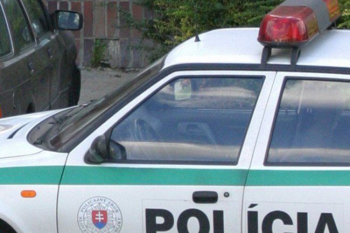 Ilustračný obrázok k článku Šofér z Macedónska šoféroval s viac ako dvoma promile, polícia ho zastavila v Rusovciach
