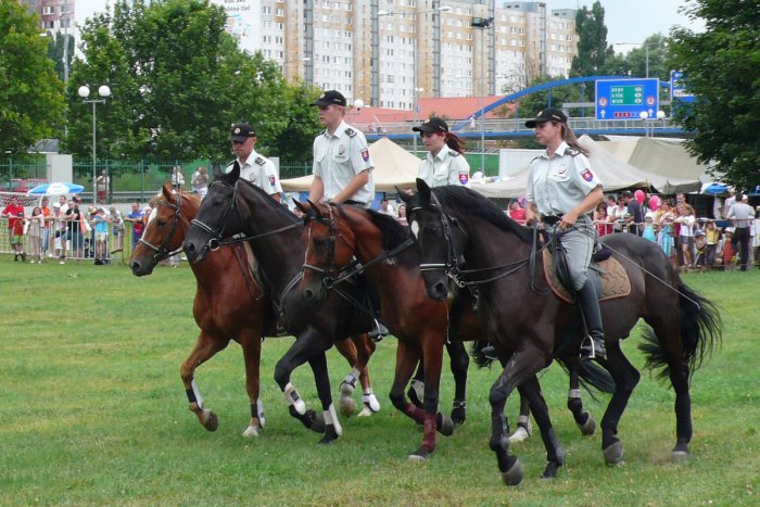 Ilustračný obrázok k článku Bratislavská mestská polícia chystá novinku. Hliadkovať bude aj na koňoch