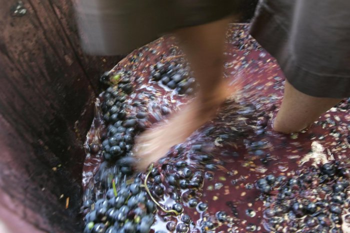 Ilustračný obrázok k článku Večer v spoločnosti vína: Stredoveká prešovačka vás prenesie do histórie