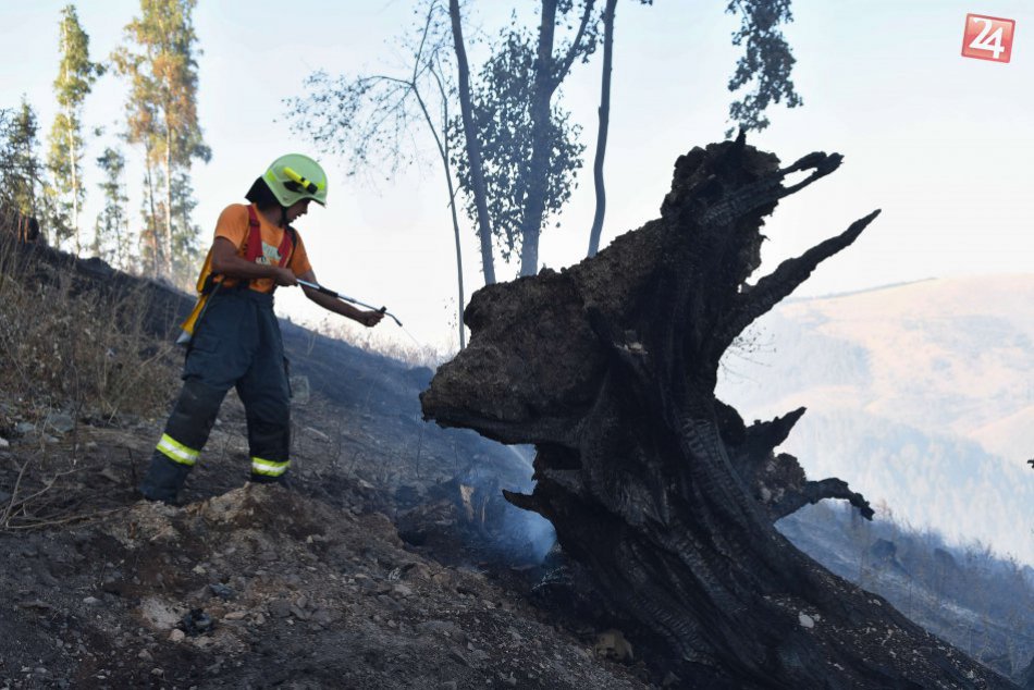 Ilustračný obrázok k článku Dobré správy, požiar nad Hranovnicou sa podarilo lokalizovať: Oheň sa už ďalej nešíri