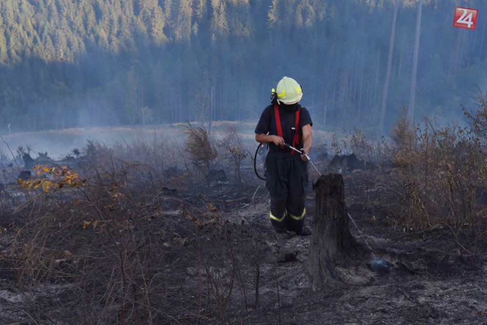Ilustračný obrázok k článku Požiar lesa pod Tatrami nabral na veľkosti: Rozšíril sa zo šiestich až na 30 hektárov!