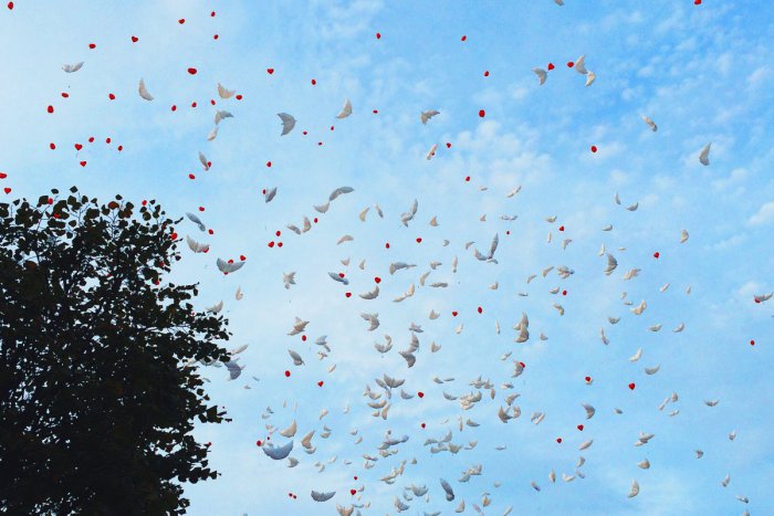 Ilustračný obrázok k článku Video: Deň želaní bol plný emócií. Do oblakov vyleteli stovky bielych balónových holubíc