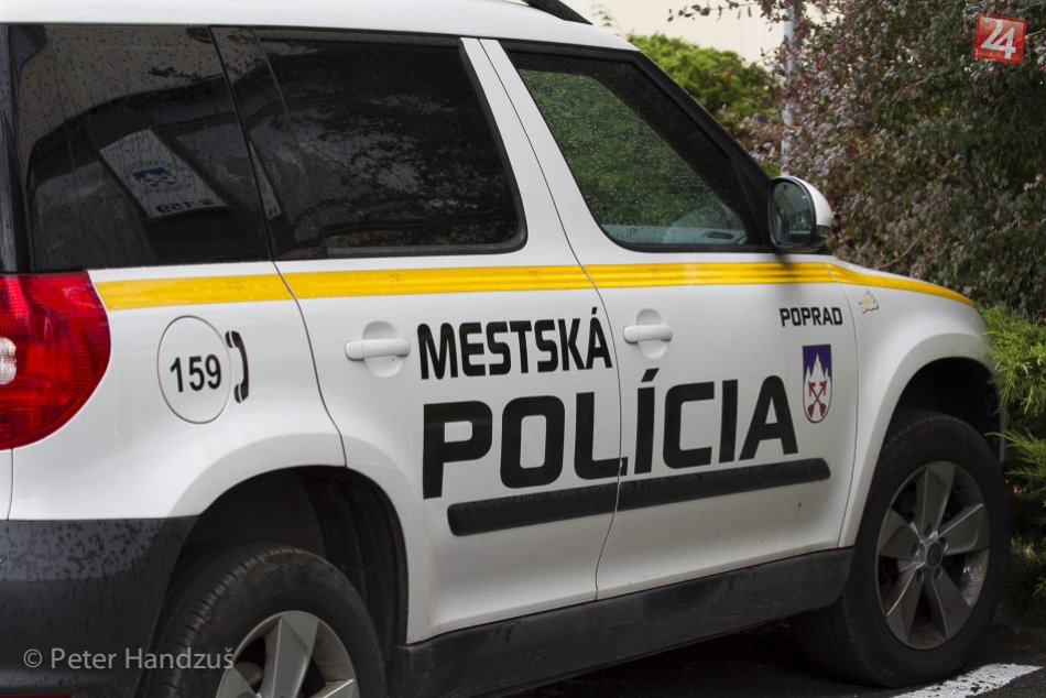 Ilustračný obrázok k článku Mestskí policajti skontrolovali venčenie psov na sídlisku: Padli aj pokuty