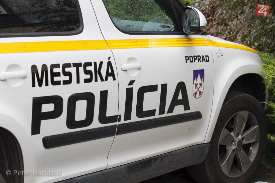 Ilustračný obrázok k článku Popradskí mestskí policajti v akcii: Čo sa dialo na moste ponad železničnú trať?