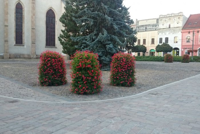 Ilustračný obrázok k článku Odhalenie v centre Prešova, z ktorého pôjdete do kolien: Na prvý pohľad kvetináče, ale...treba vidieť FOTO vnútri! :-)