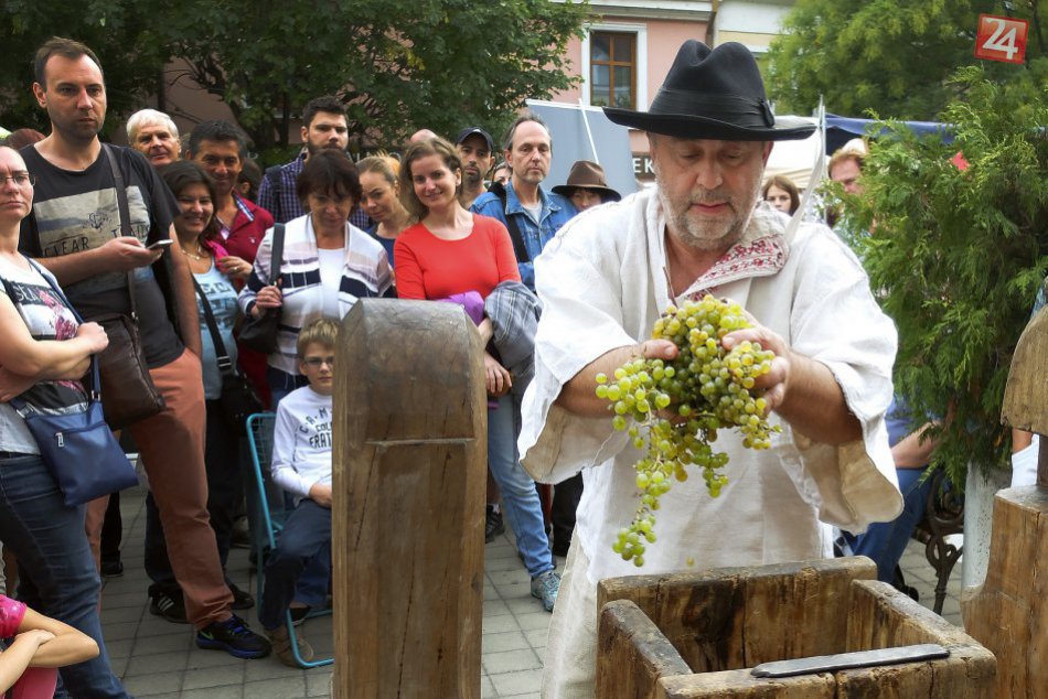 Ilustračný obrázok k článku Tradíciu vinohradníctva v Bratislavskom regióne si uctia svätomartinské dni. Čo všetko sa so sviatkom sv. Martina spájalo?