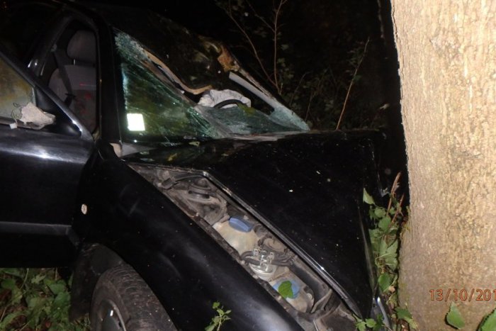 Ilustračný obrázok k článku Pri Ružomberku sa stala tragédia: Auto sa zrazilo so srnou a narazilo do stromu, vodič neprežil!