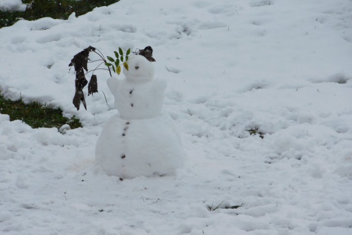 Ilustračný obrázok k článku Perinbaba sa v Spišskej postarala o nevšedné výjavy: Rozkvitnuté kvety pod snehom aj snehuliaci v októbri!