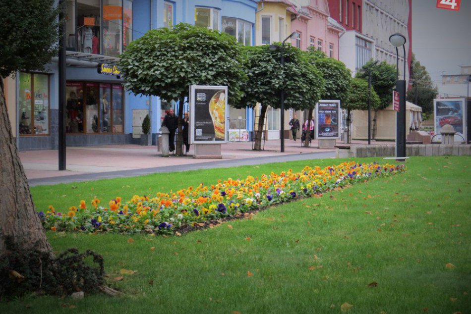 Ilustračný obrázok k článku Michalovčania si užívajú farebnú jeseň aj v centre mesta: Sychravé počasie nič nekazí, FOTO