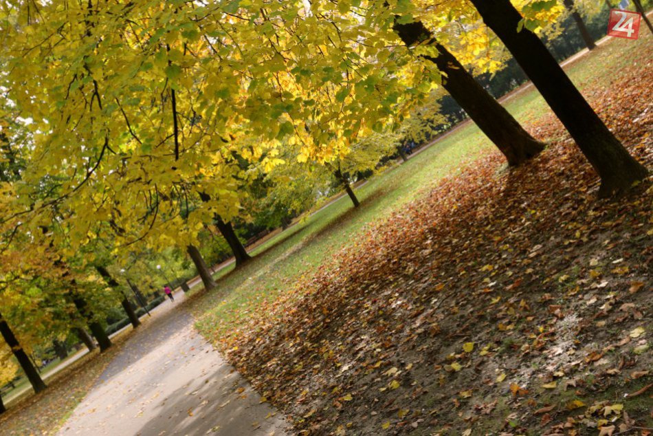 Ilustračný obrázok k článku Týždeň plný pracovného voľna: TIPY na jesenný oddych v prírode v našom okolí