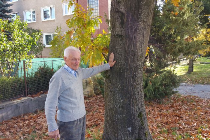 Ilustračný obrázok k článku Revúčan sa na to už nemohol pozerať a dal sa do práce: Dôchodca vlastnoručne vysadil vyše 150 stromčekov!
