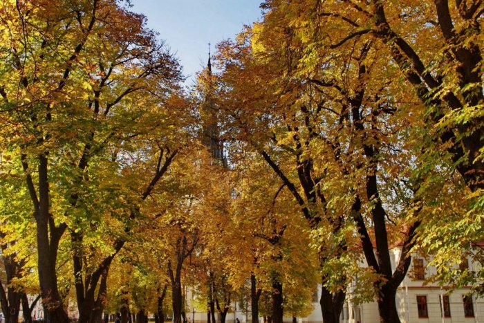 Ilustračný obrázok k článku Toto dokáže len pani príroda: Obyvateľov Spišskej vonku tešia nádherné jesenné obrázky!