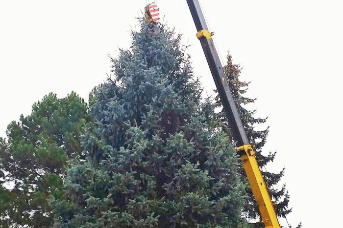 Ilustračný obrázok k článku V Prešove už stojí vianočný stromček: Tento krásavec nám skrášli sviatočné obdobie!