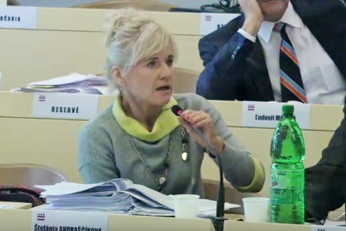 Ilustračný obrázok k článku Mestská poslankyňa Andraščíková počas rokovania o znížení dane za psa: Dúfam, že sa občania už prestanú sťažovať!