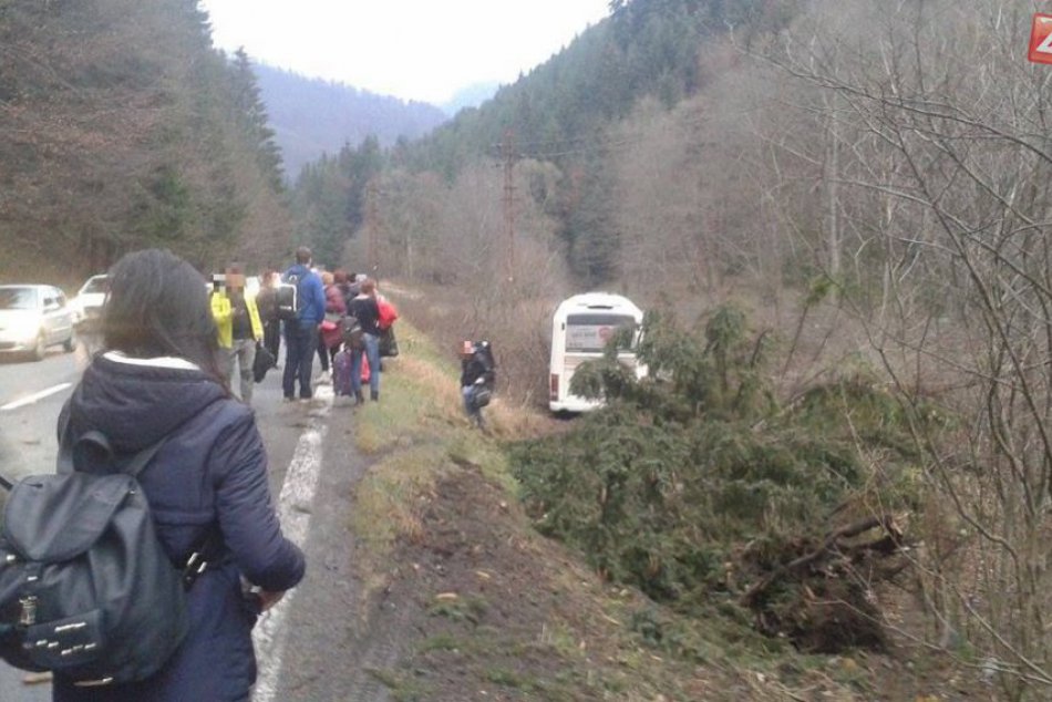 Ilustračný obrázok k článku Autobus v priekope nabúral do stromu: Exkluzívne svedectvo cestujúceho z Ružomberka!