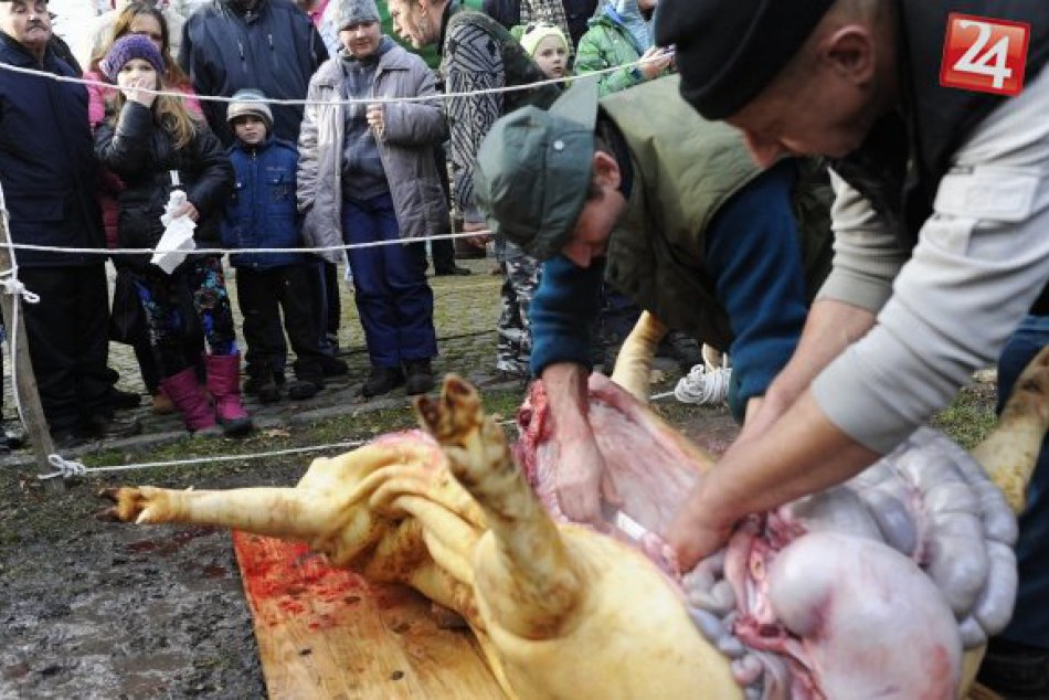 Ilustračný obrázok k článku Len pre silnejšie žalúdky: Takto bude vyzerať víkendová tradičná Zemplínska zabíjačka