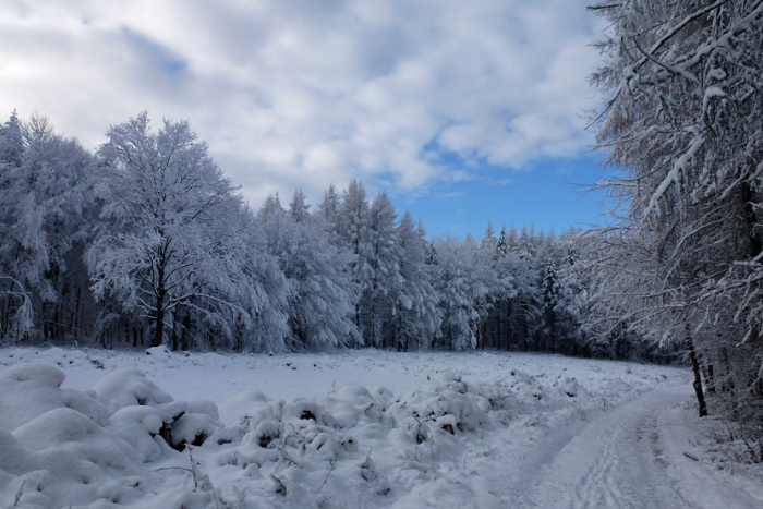 Ilustračný obrázok k článku Vyhľadávané zimné lokality v okolí Michaloviec: Na koľko % dáte tento kvíz?