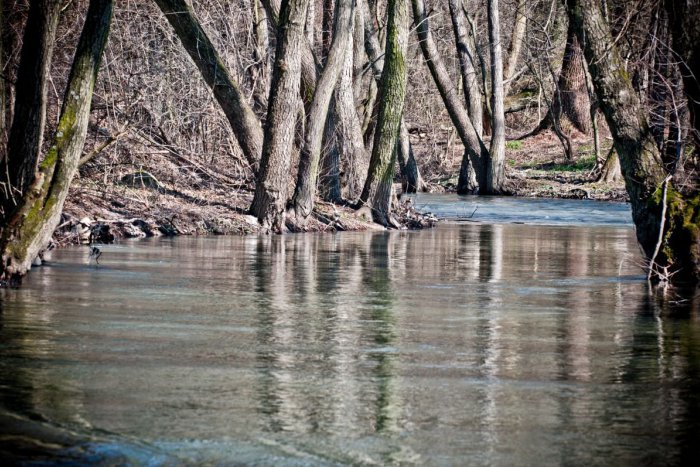 Ilustračný obrázok k článku Verejnosť podporila petíciu Za živé rieky a čistú vodu: Takmer 20-tisíc podpismi