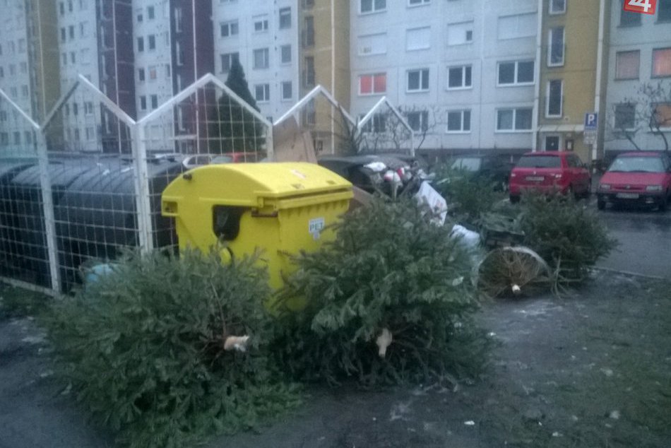 Ilustračný obrázok k článku Nastal čas lúčenia s vianočnými stromčekmi: Vieme, ako ešte poslúžia Novozámčanom. FOTO