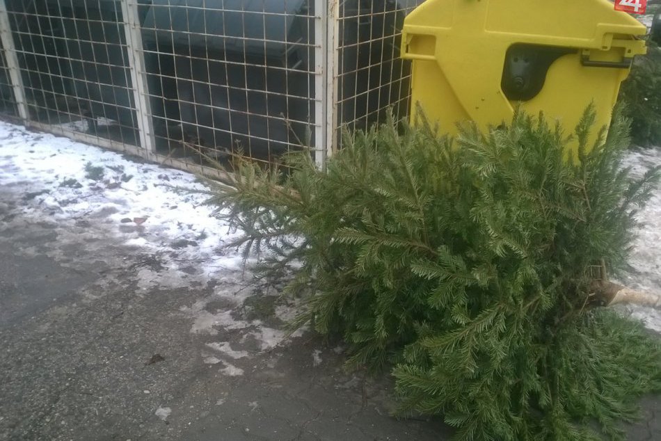 Ilustračný obrázok k článku Kam s vianočným stromčekom? Dôležité info z radnice, ako a kedy ich budú zbierať v Prievidzi