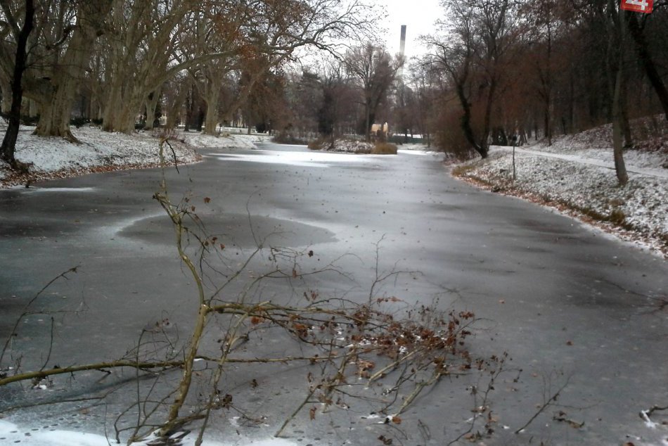 Ilustračný obrázok k článku Zámocká záhrada láka i v zime: Zamrznutá hladina jazierka a príroda ako z rozprávky! FOTO