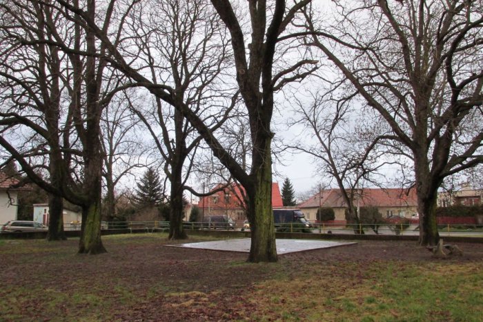 Ilustračný obrázok k článku Park v Prílepoch bude zrejme chudobnejší o niekoľko stromov: Mesto chce odstrániť storočné gaštany