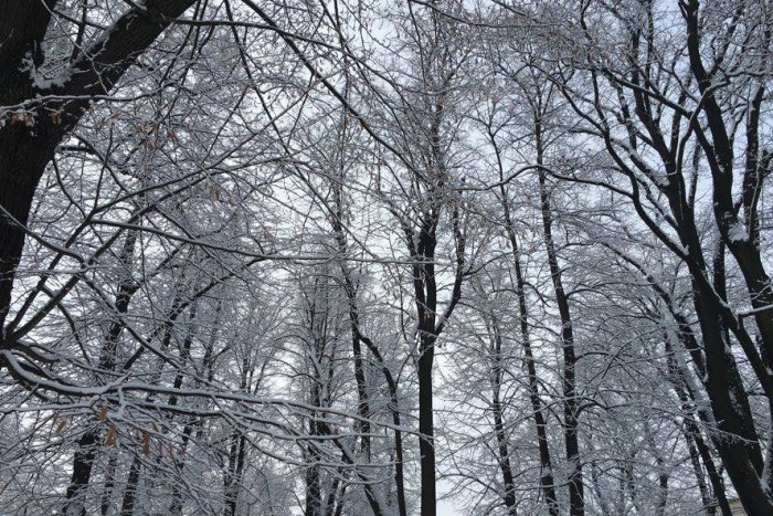 Ilustračný obrázok k článku Predpoveď počasia presne zacielená na Spišskú: S akým počasím rátať v našom meste cez víkend?