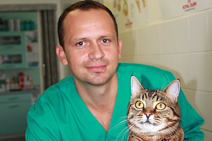 Ilustračný obrázok k článku Lekár, ktorého v Bystrici pozná množstvo milovníkov zvierat: EXKLUZÍVNY rozhovor s veterinárom Paulinym