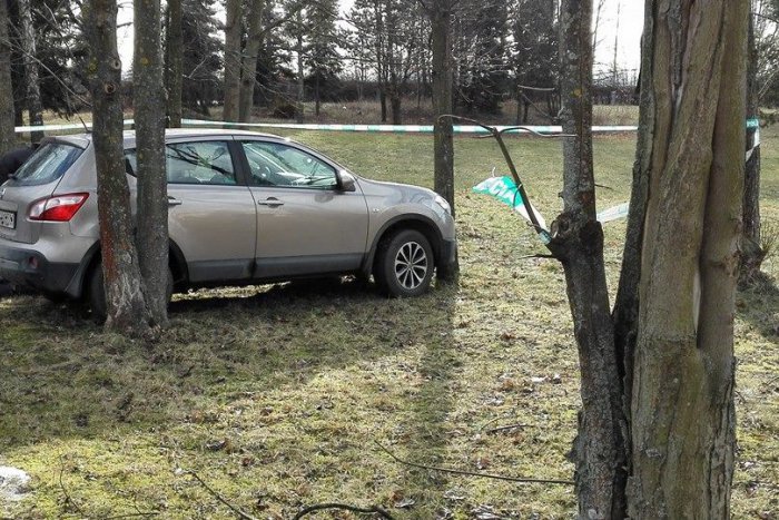 Ilustračný obrázok k článku Toto sa odohralo pred školou v Spišskej: S autom učiteľky niekto nabúral do stromu! FOTO