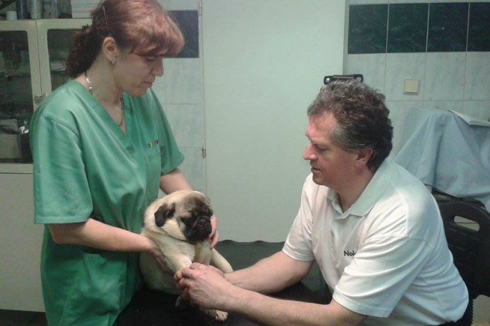 Ilustračný obrázok k článku Lekári, ktorých v Brezne pozná množstvo milovníkov zvierat: EXKLUZÍVNY rozhovor s veterinármi Remiarovcami