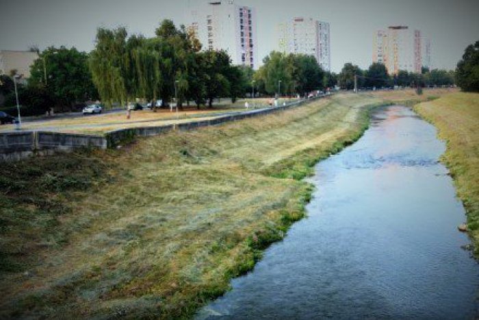 Ilustračný obrázok k článku Výsledky volieb v Michalovciach okrsok za okrskom: Kde všade sa stal Smer víťazom?