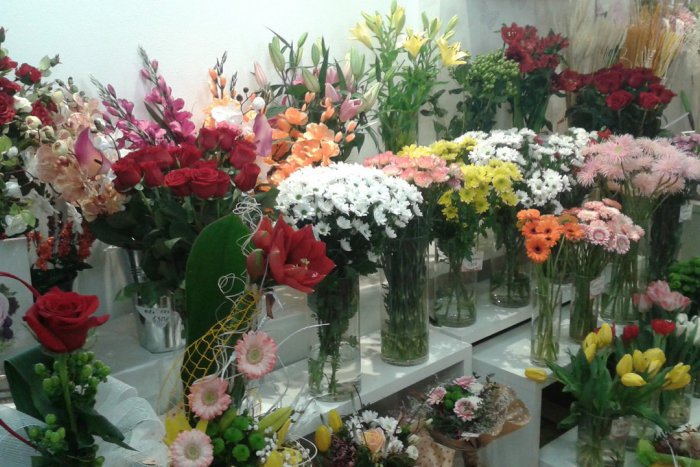 Ilustračný obrázok k článku MDŽ aj v našom meste: Ktoré kvety kupujú Považskobystričania najčastejšie?