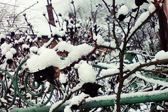 Ilustračný obrázok k článku Zima je späť: V Rožňave a okolí nás čakalo zasnežené ráno!