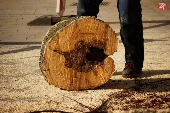 Ilustračný obrázok k článku Bratislava príde o desiatky stromov, musia byť vyrúbané?