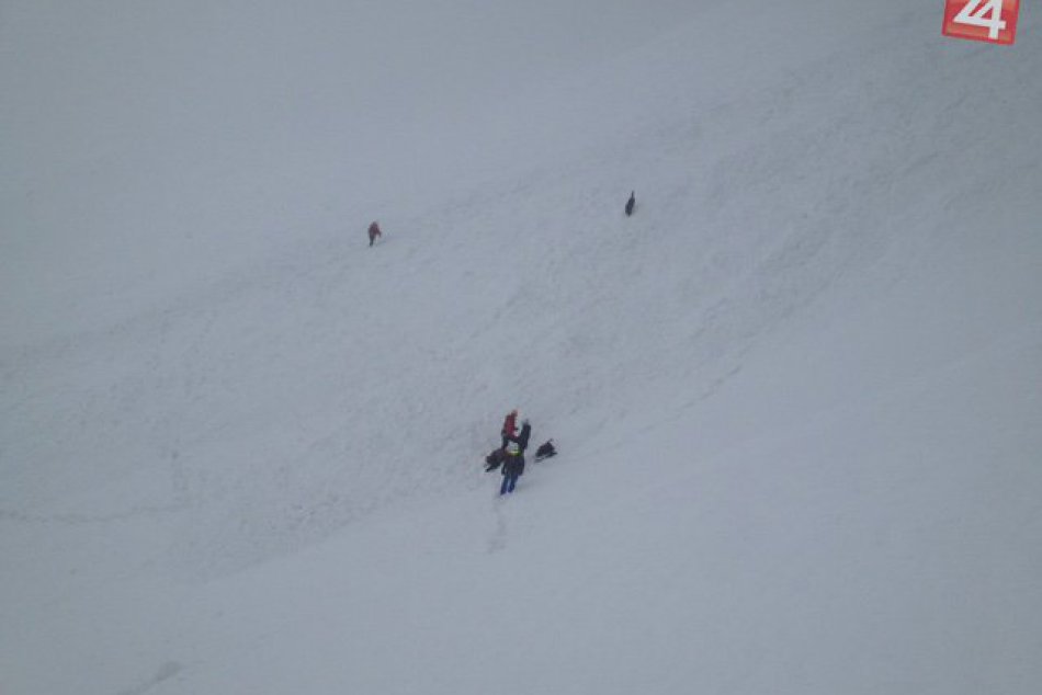 Ilustračný obrázok k článku Batizovskou próbou spadla lavína. Prehľadávalo ju šesť záchranárov a psovodov