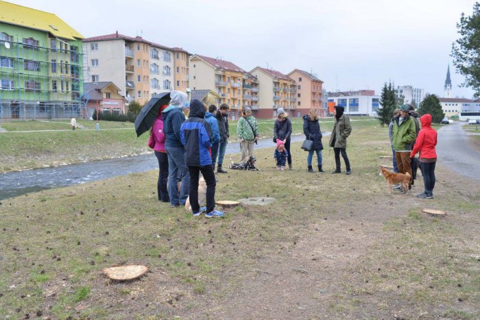 Ilustračný obrázok k článku Desiatky stromov v Spišskej padlo kvôli cyklotrase: Signatári petície na symbolickej rozlúčke, FOTO