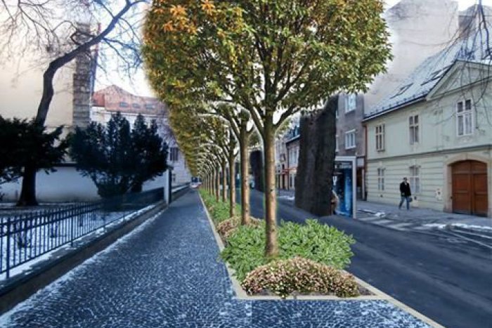 Ilustračný obrázok k článku Obnova stromov na Palackého ulici prinesie aj nový pás zelene