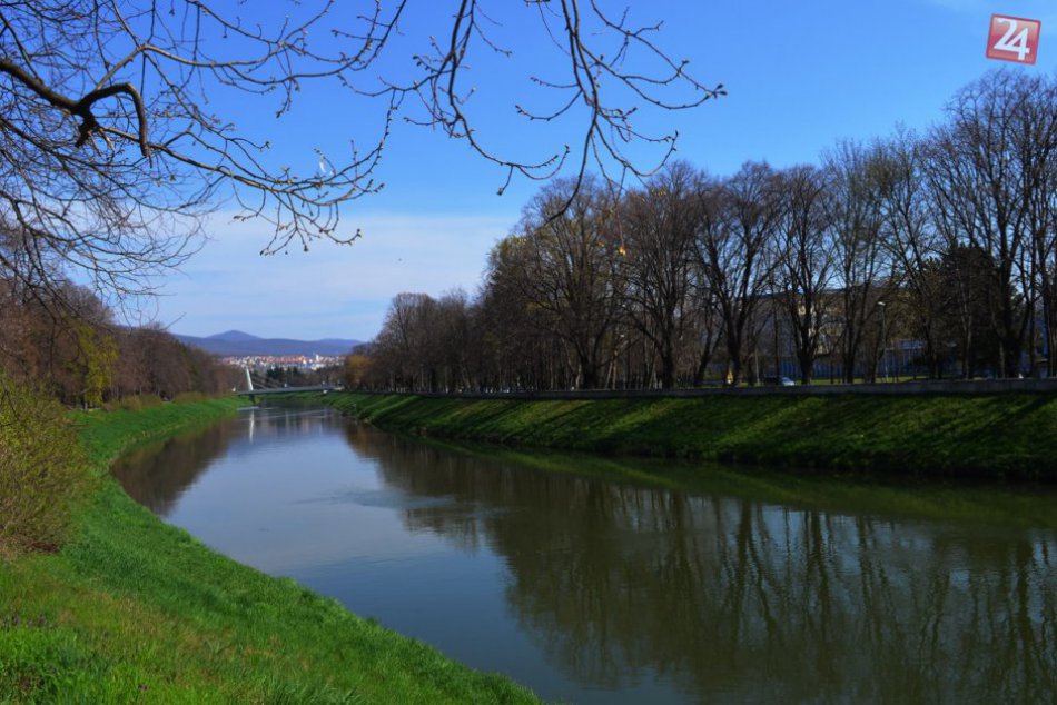 Ilustračný obrázok k článku V rieke Nitra plávali telá mŕtvych zvierat: Žena ich zahliadla z cyklochodníka