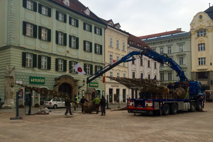 Ilustračný obrázok k článku Revitalizácia historického centra sa blíži ku koncu, na Hlavnom námestí vysadia lipy malolisté