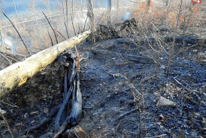 Ilustračný obrázok k článku Požiar lesa nad Vlachovom: TAKTO ho vidia hasiči!