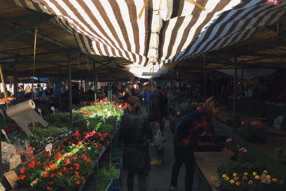Ilustračný obrázok k článku OBRAZOM: S jarou ožívajú aj bratislavské trhoviská. Trh na Žilinskej predstavuje významný verejný priestor
