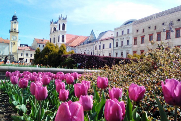 Ilustračný obrázok k článku Rozkvitli sídliská aj námestie: Zábery, zachytávajúce krásu jari v Bystrici FOTO