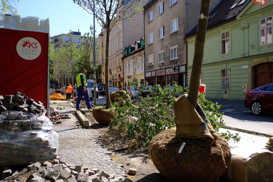 Ilustračný obrázok k článku OBRAZOM: Na Palackého ulici pribudli nové stromy