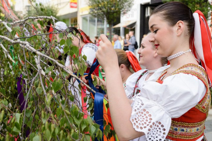 Ilustračný obrázok k článku Užite si tradície na námestí v Michalovciach: Blíži sa stavanie mája
