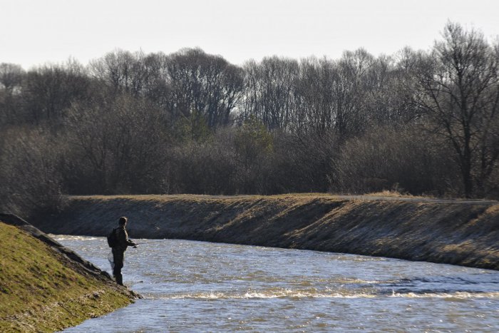 Ilustračný obrázok k článku Kriticky ohrozený riečny druh rýb sa vracia do rieky Poprad: Mihula potočná je späť