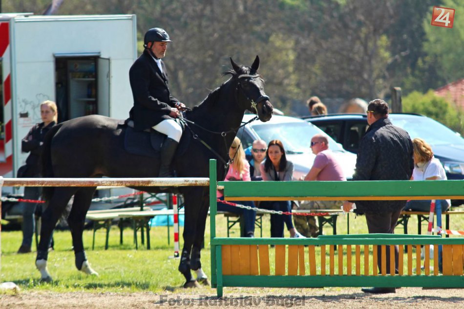 Ilustračný obrázok k článku Zlá správa pre milovníkov jazdectva: Topoľčianske parkúrové preteky sa odkladajú
